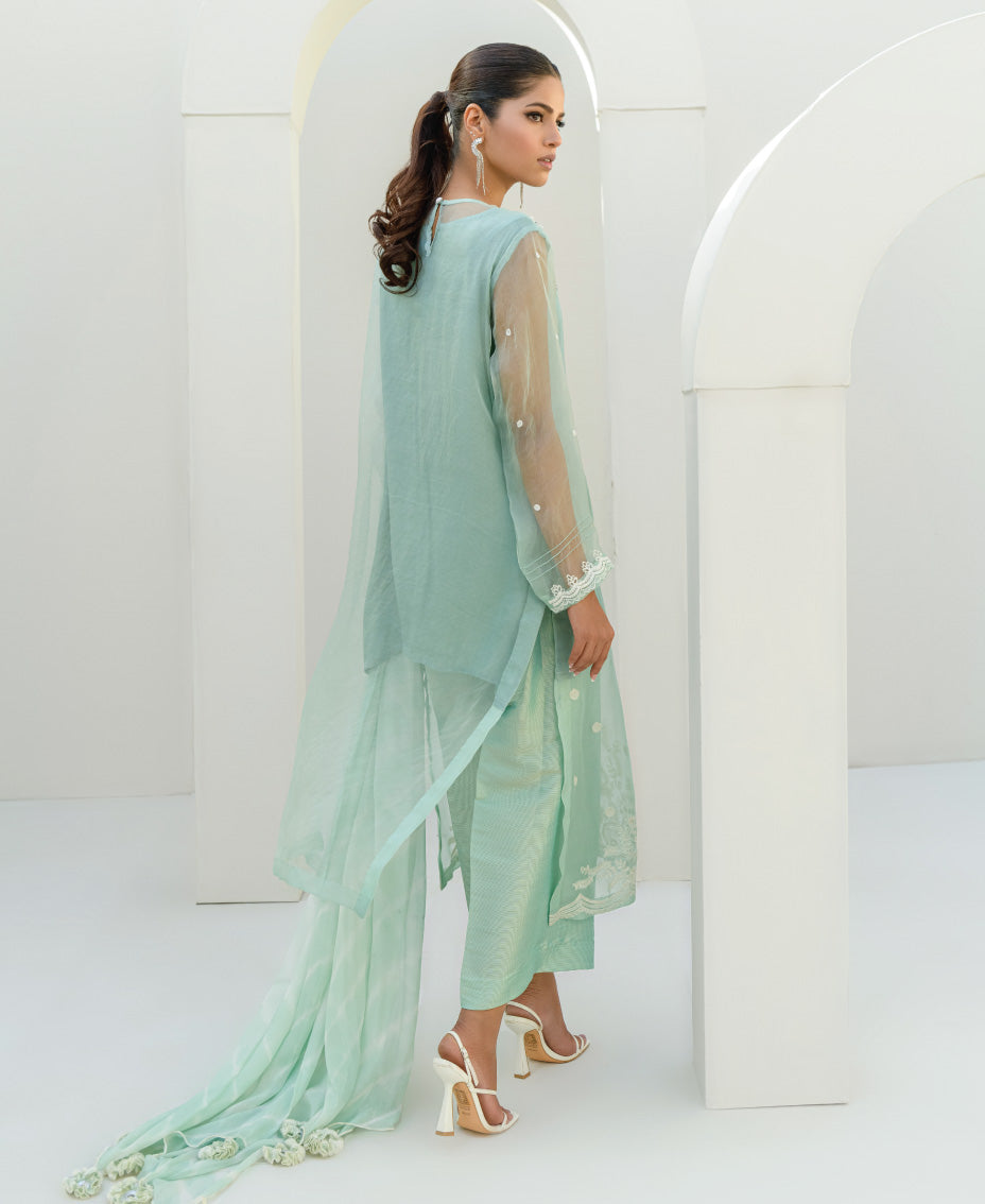 Luxury mint green organza semi-formal outfit with hand embellishment  with tassel dupatta back view .