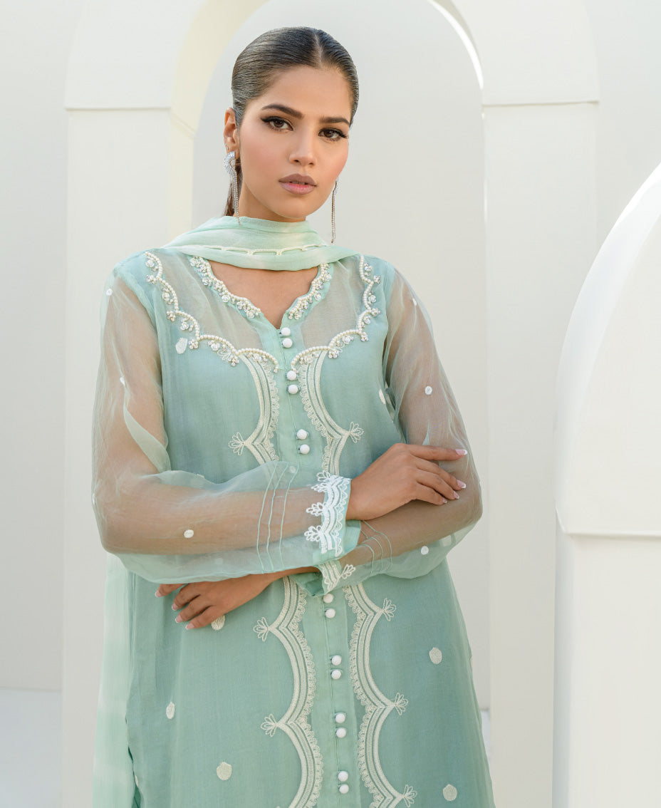 Refined luxury mint green organza semi-formal outfit with hand embellishment eid outfit for women .