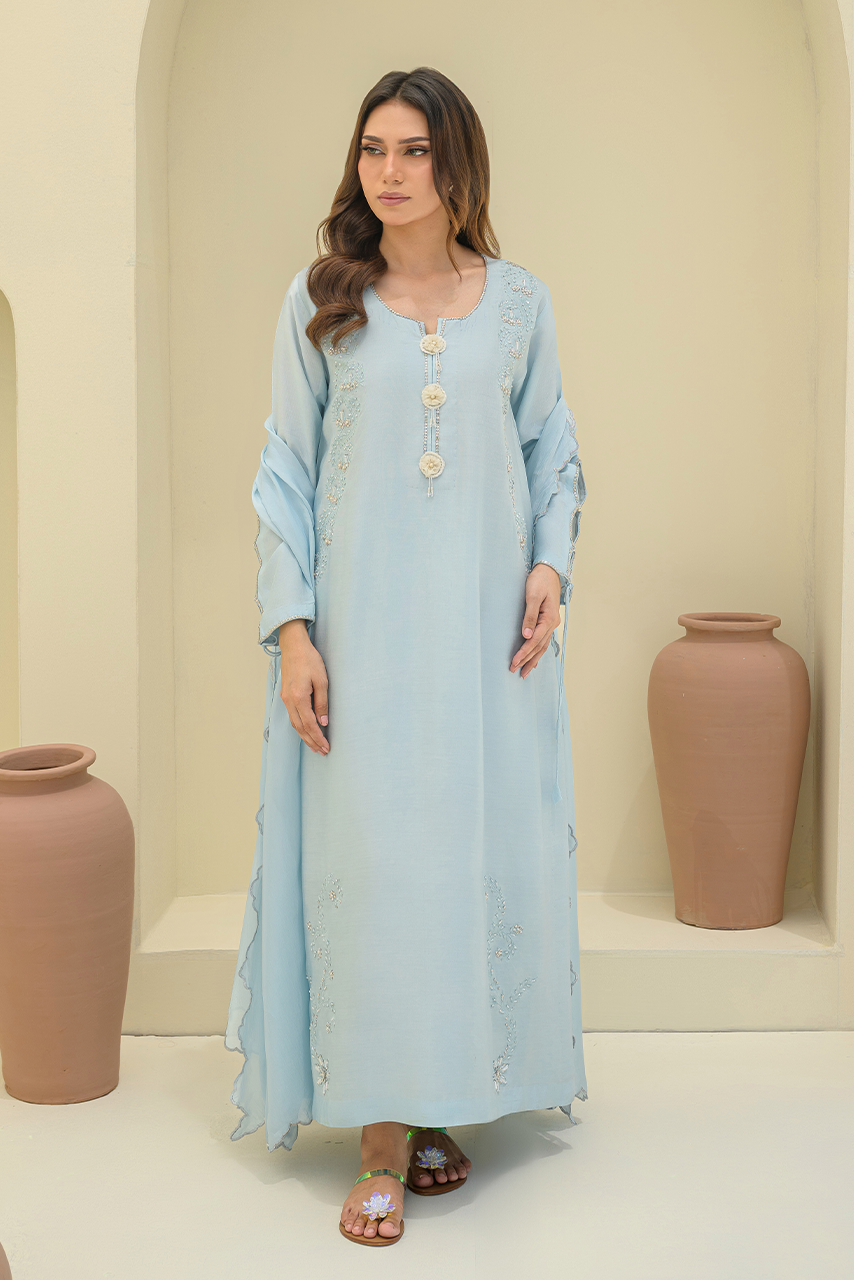 Light blue semi-formal women's dress with light embroidery and stylish cut for a birthday party or day event