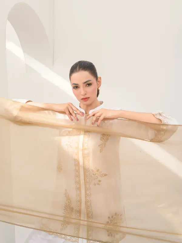 A woman wearing a sheer ivory dress with floral embroidery in a minimalistic with a beige organza dupatta.