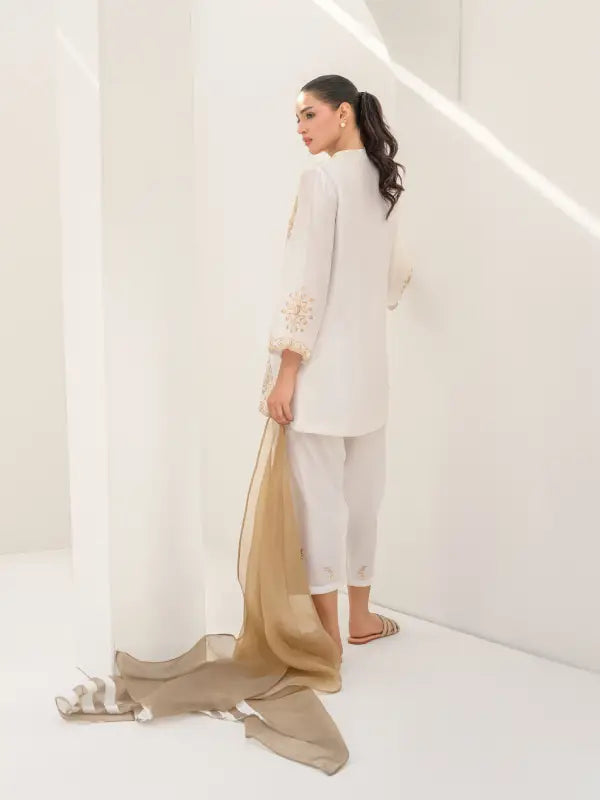 An ivory-white khaddi silk dress, back view, with organza contrast dupatta embroidery on the front, on the sleeves and on the bottom of the shalwar.